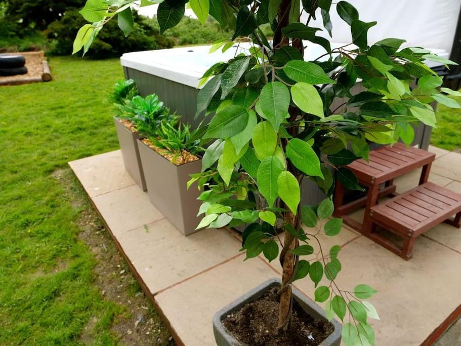 Deluxe 1 Bed Versace Hot Tub Sky TV Cinema Screen House in Uttlesford