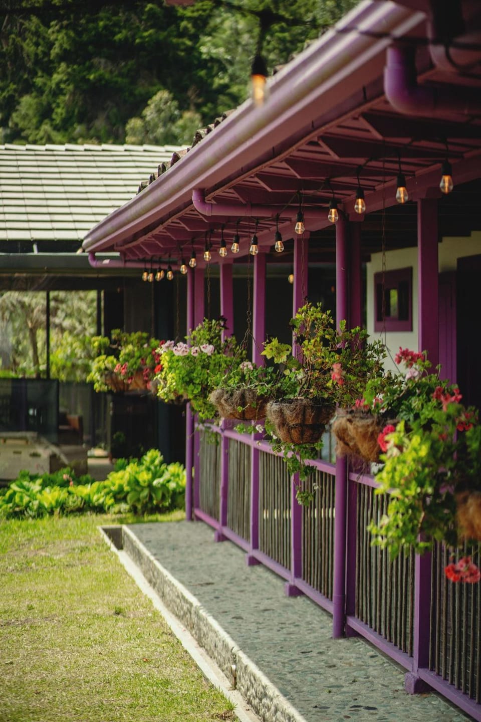 Garden view