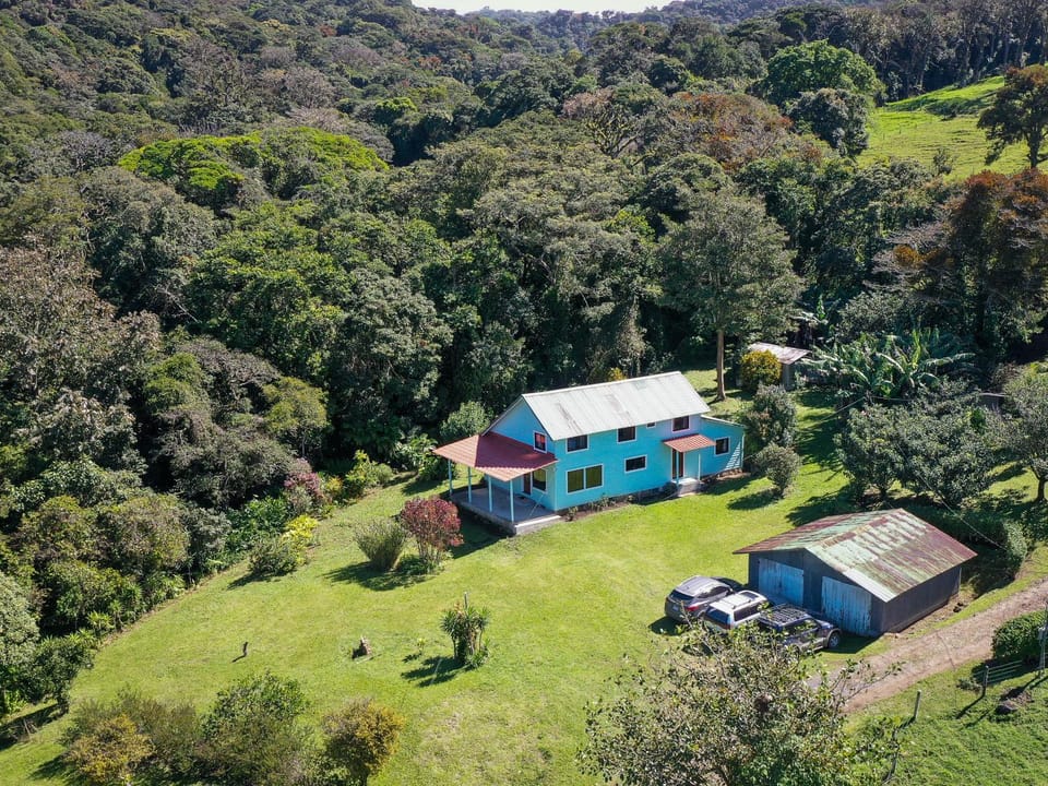 Property building, Day, Natural landscape, Garden, Garden, Garden view