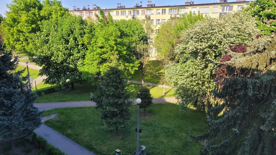 View (from property/room), Other, Quiet street view
