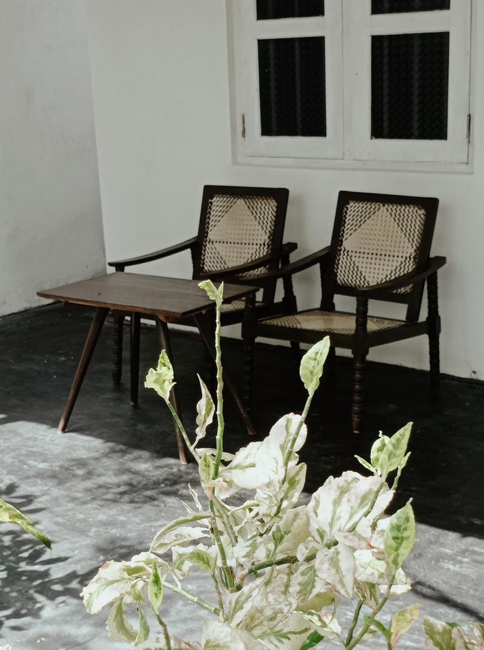 Kouzi House Vacation rental in Ahangama