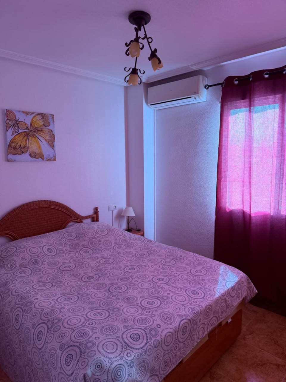 Viola Apartment in Torrevieja