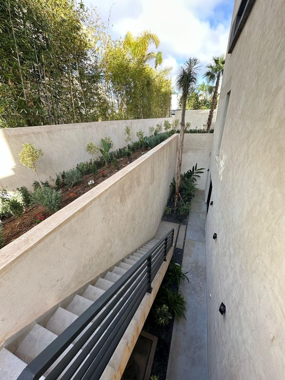 Day, Garden, View (from property/room)