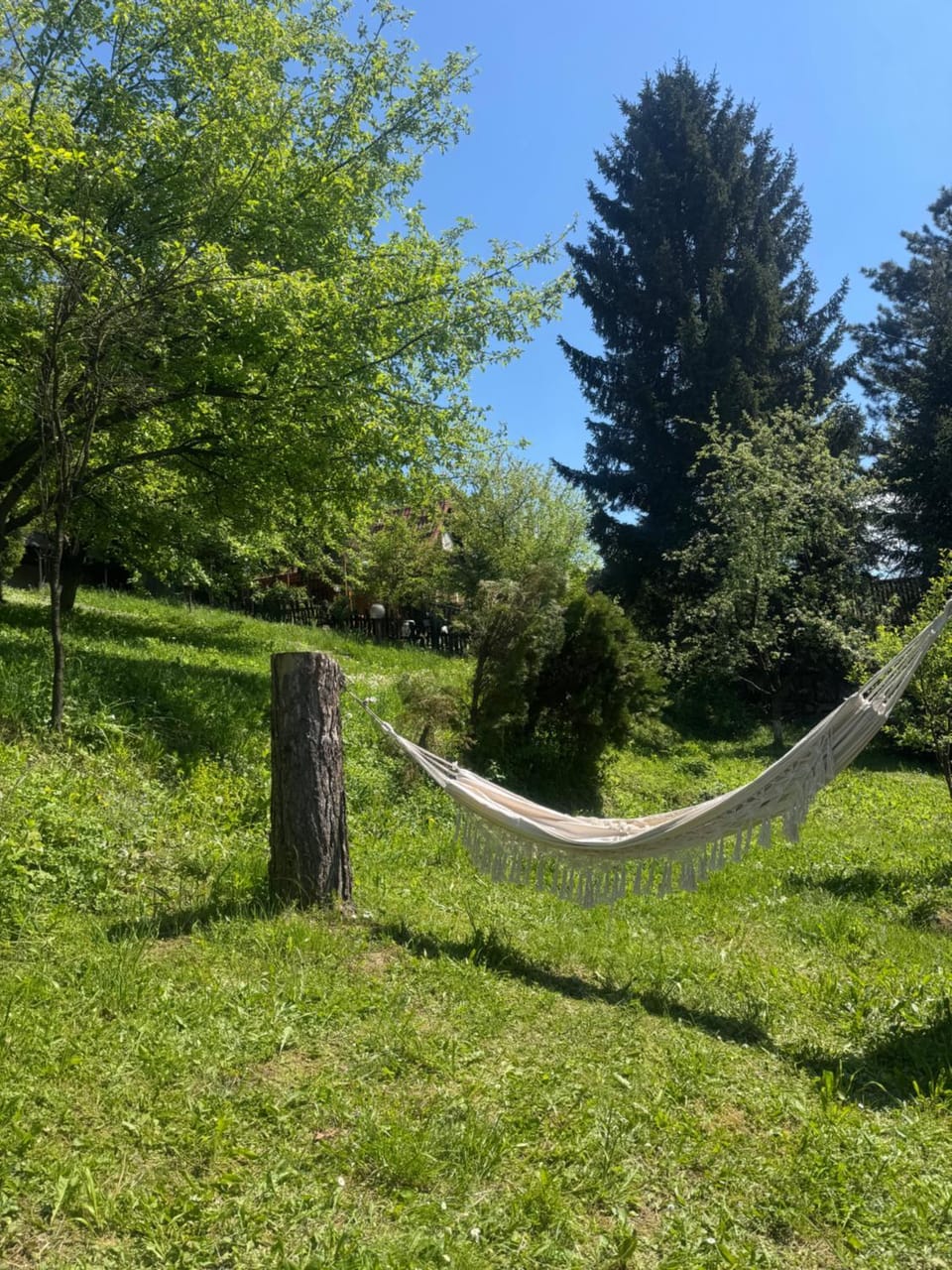 Piccola foresta Apartment in Federation of Bosnia and Herzegovina
