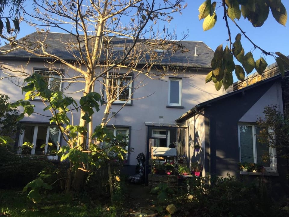 Property building, Garden, Garden view