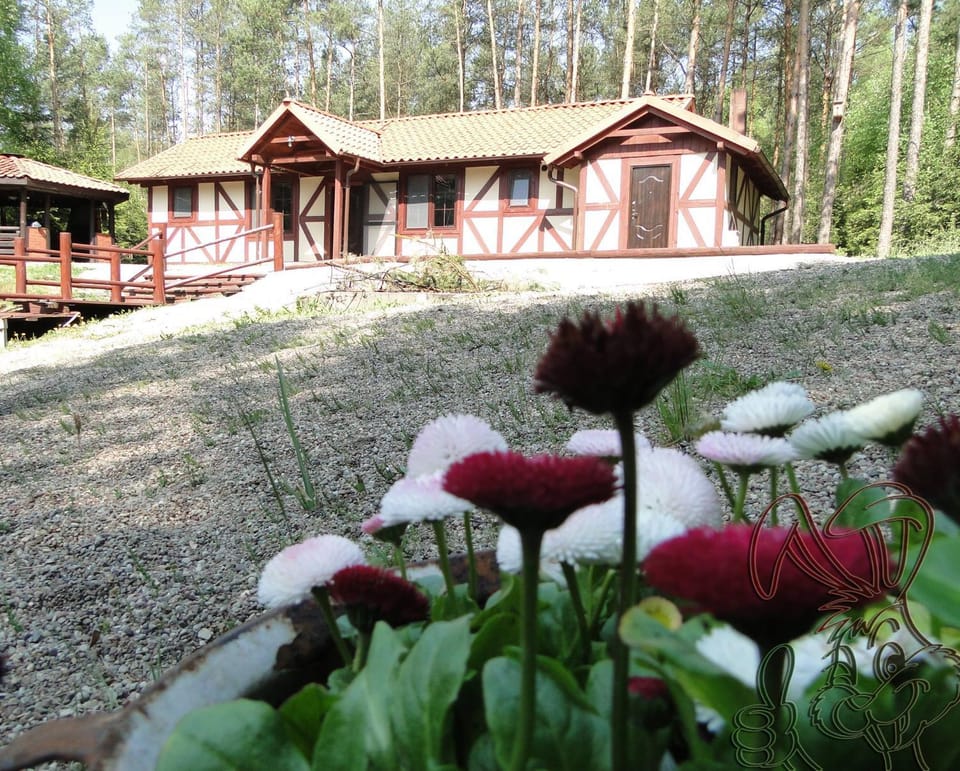 Property building, Spring, Day, Garden