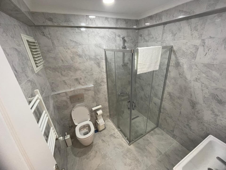 Shower, Toilet, Bathroom, towels