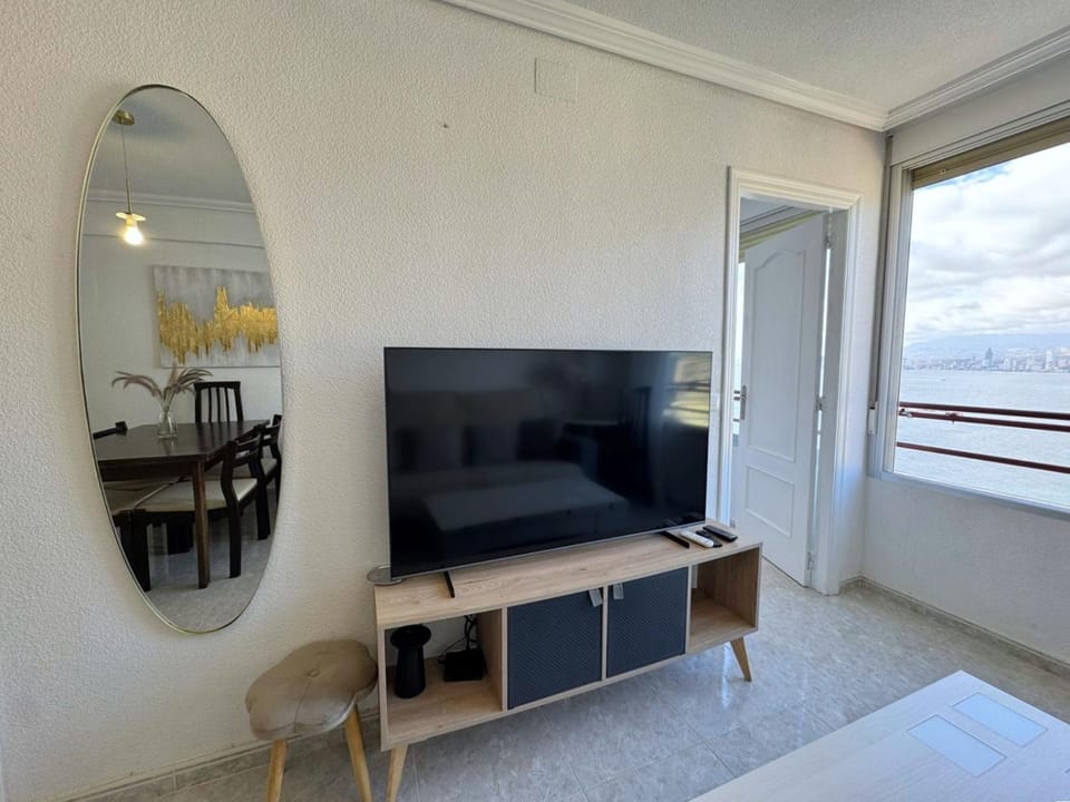 TV and multimedia