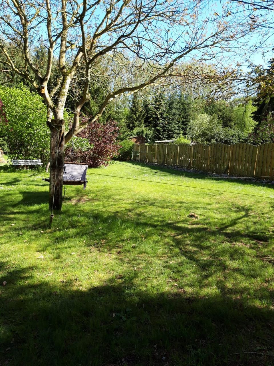 Spring, Garden, Garden view