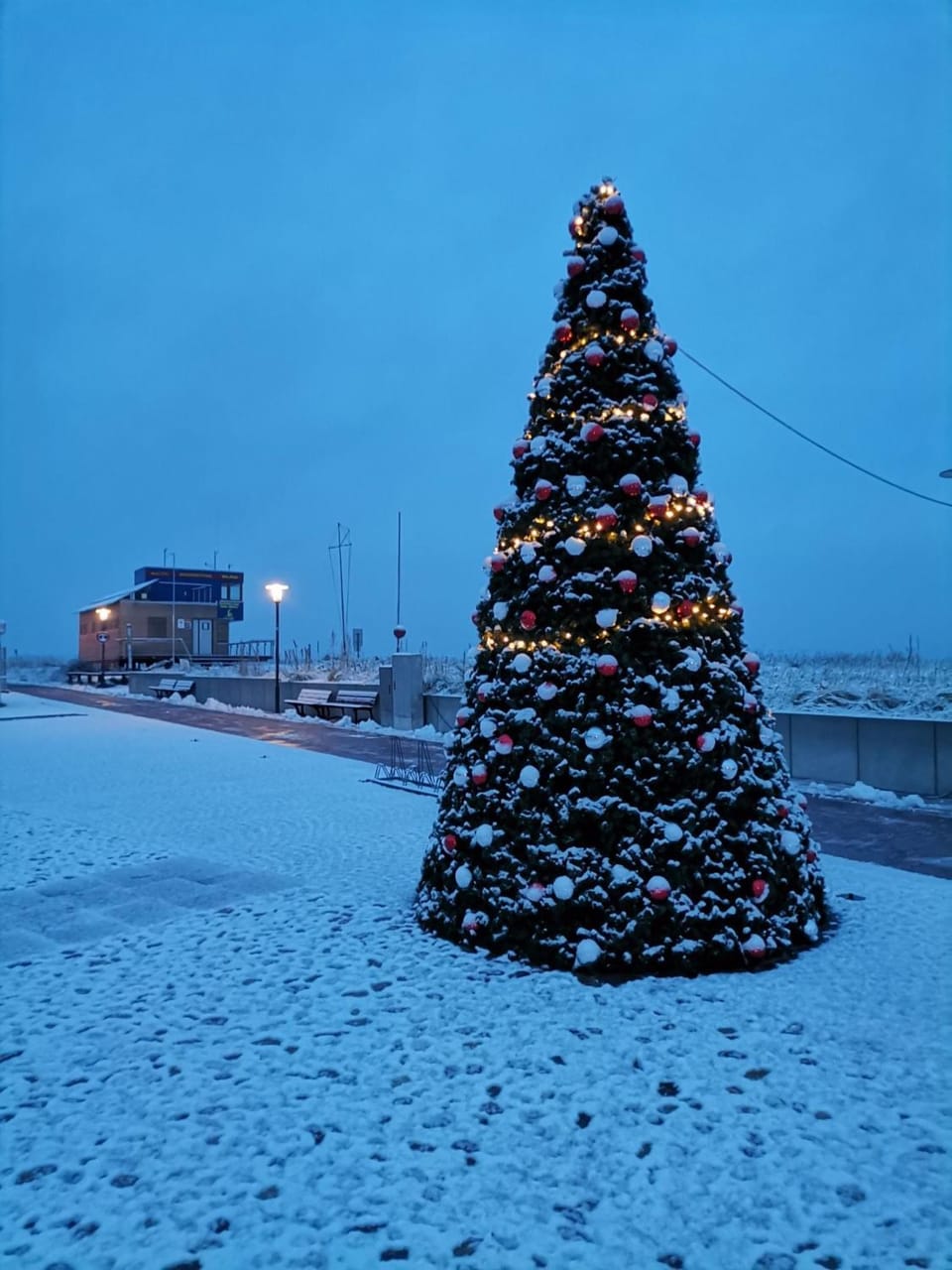 Küstenoase - Wilke GM 69934 Apartment in Graal-Müritz