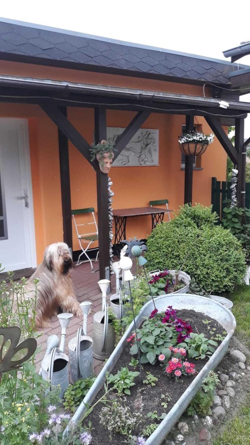 Bungalow Schinderling GM 69816 House in Mecklenburg-Vorpommern, Germany