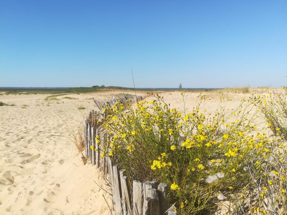 Natural landscape, Sea view