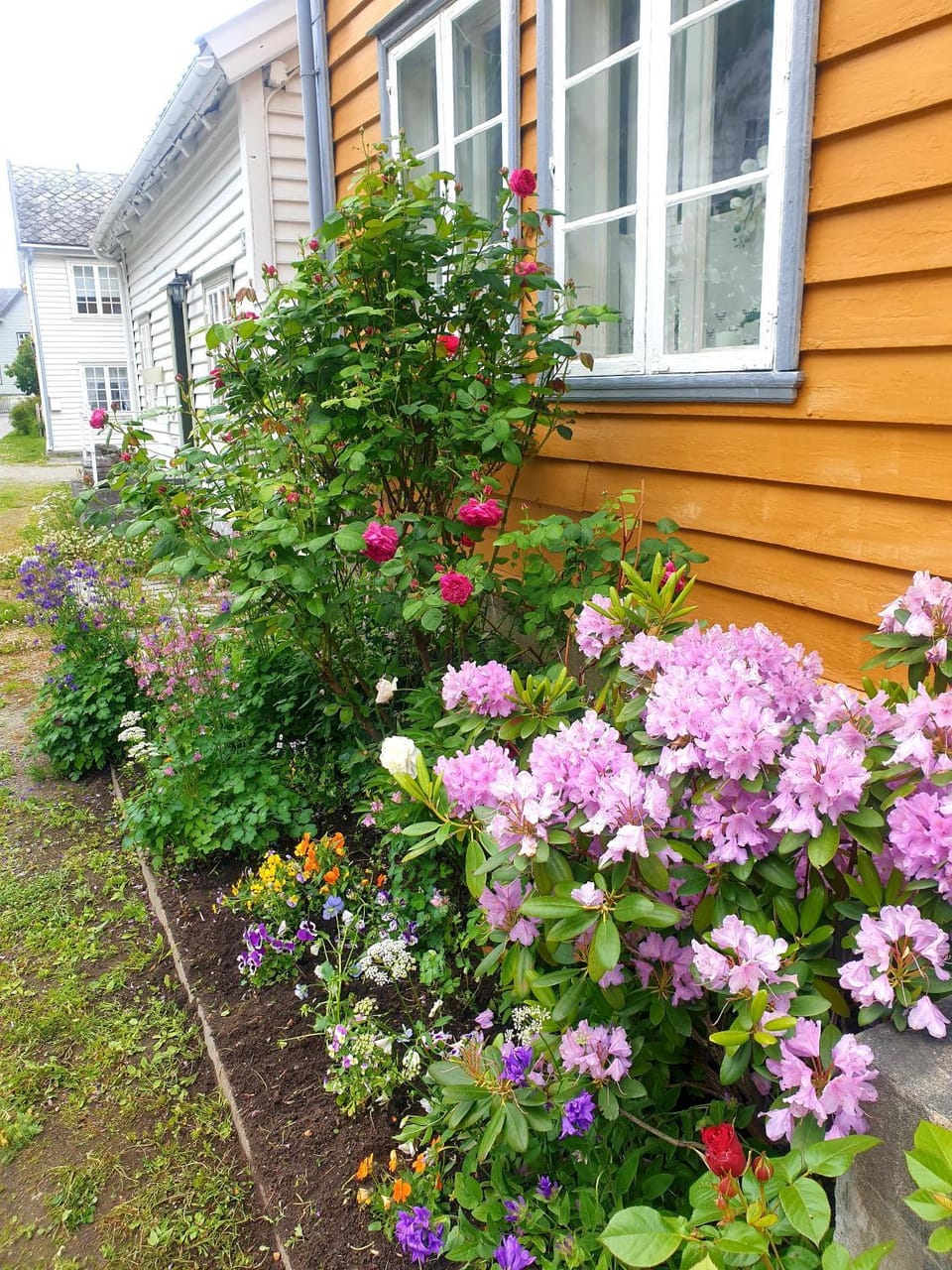 Garden view