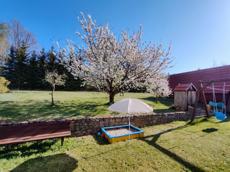 Children play ground, Garden, Garden view
