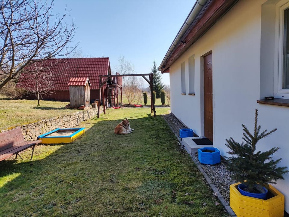 Property building, Garden, Garden view