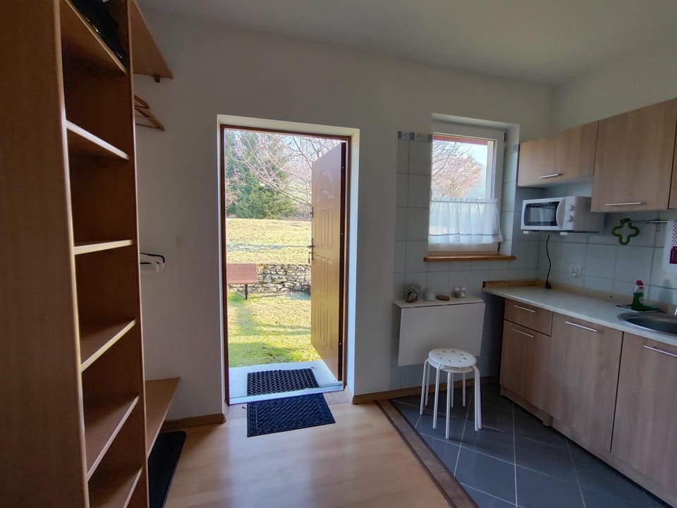 Kitchen or kitchenette, Dining area