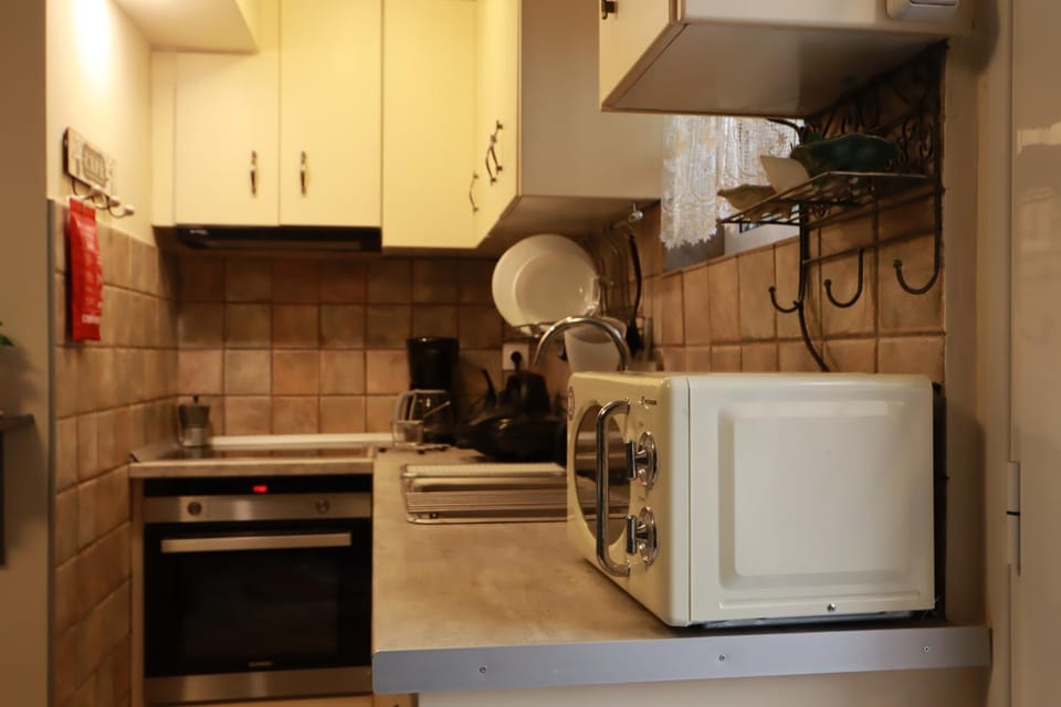 Kitchen or kitchenette, minibar, pet friendly, stove