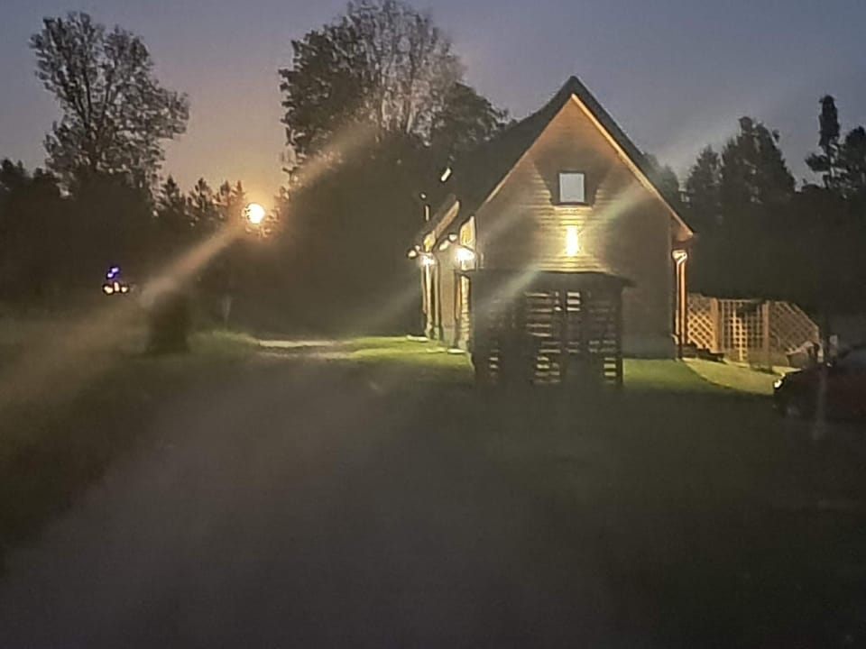 Night, Garden