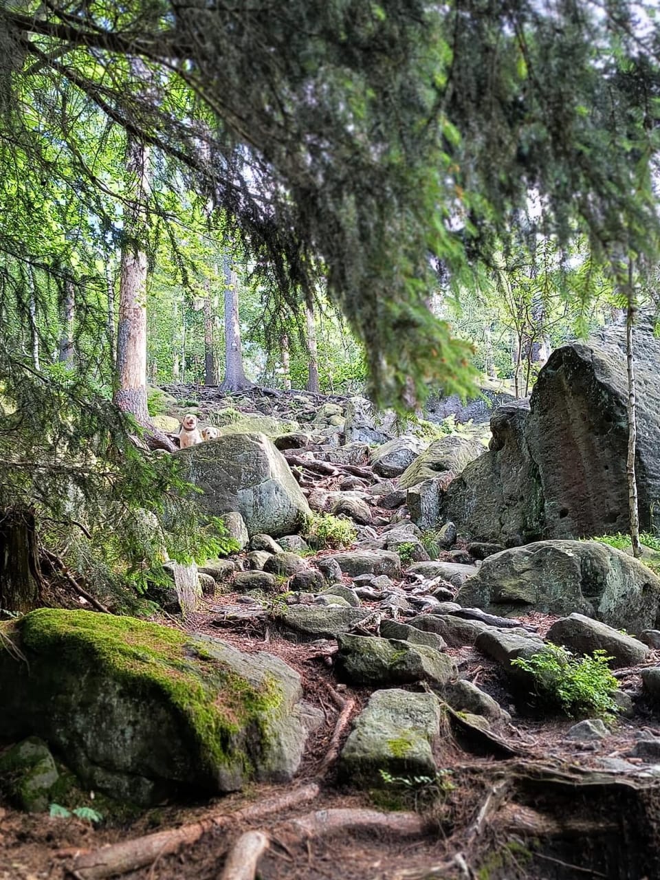 Natural landscape