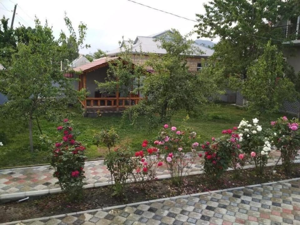 Summer, Garden, Garden