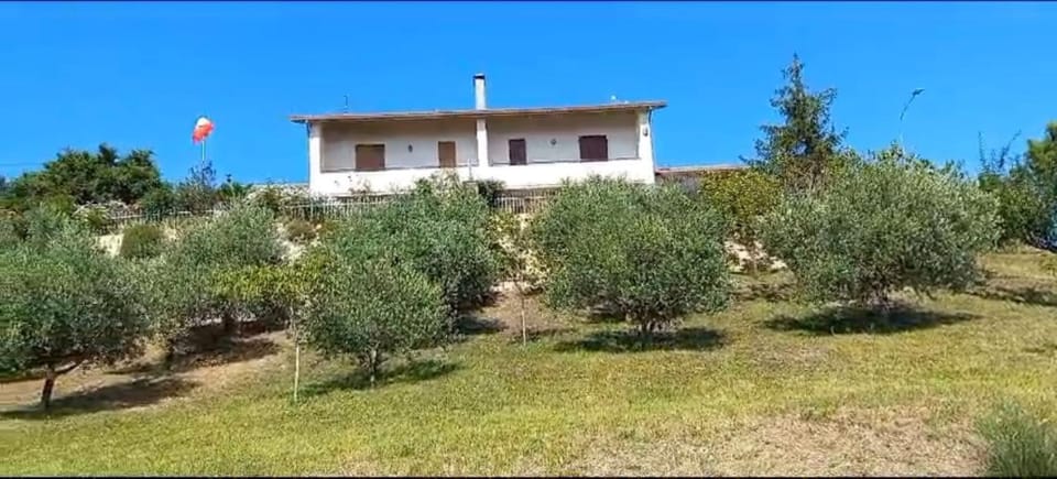 Property building, Garden view