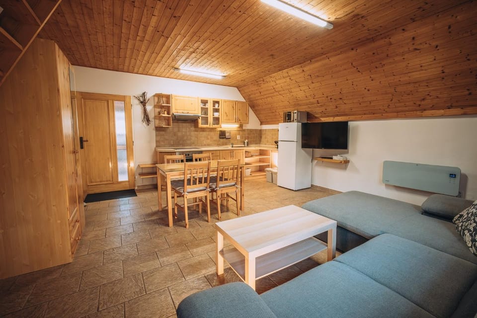 Living room, kitchen