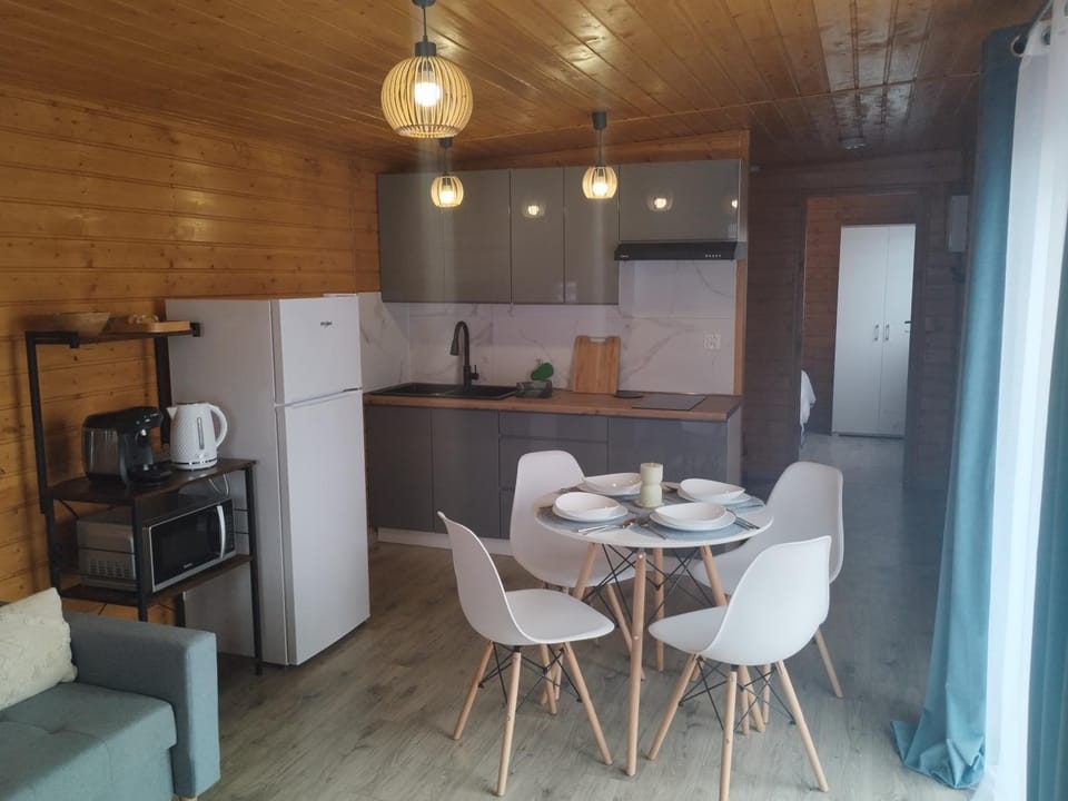 Kitchen or kitchenette, Dining area, minibar, stove, toaster