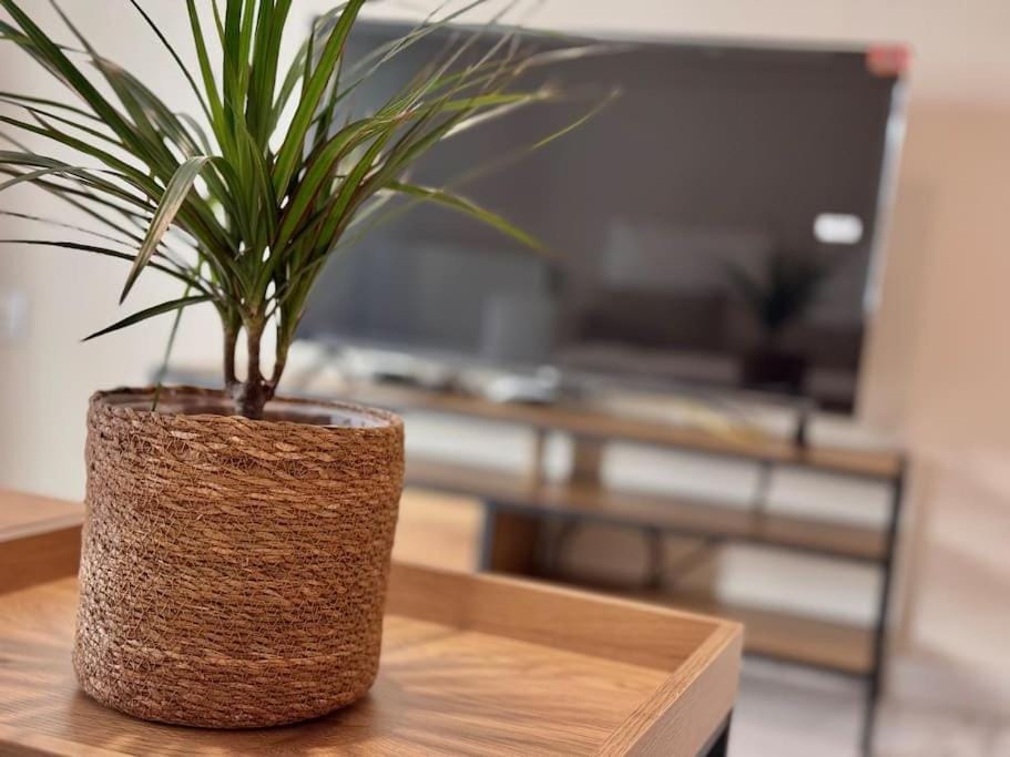 Apartamento en PLENO CENTRO con APARCAMIENTO opcional Apartment in Cordoba