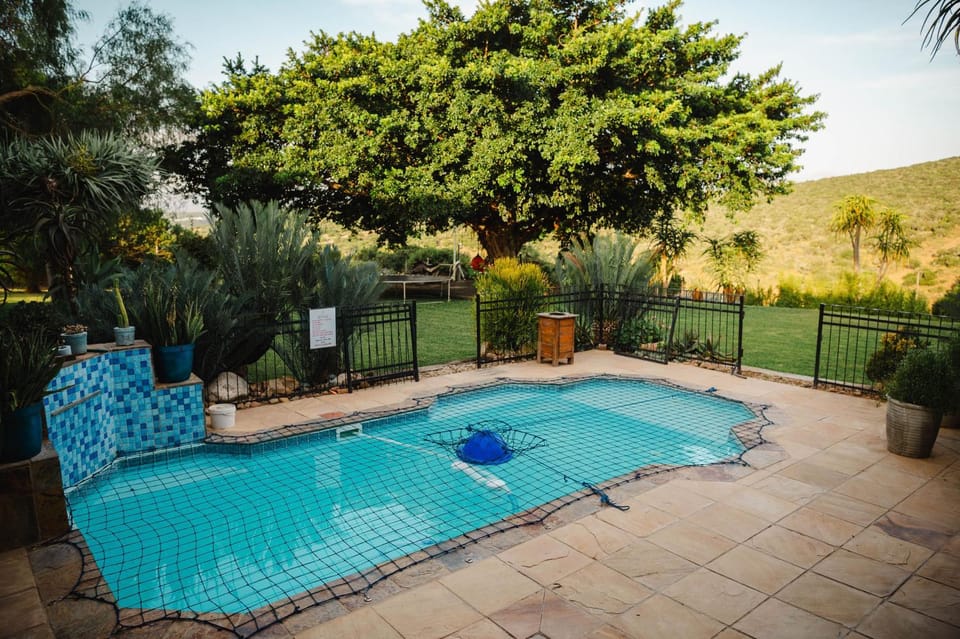 Garden, Swimming pool