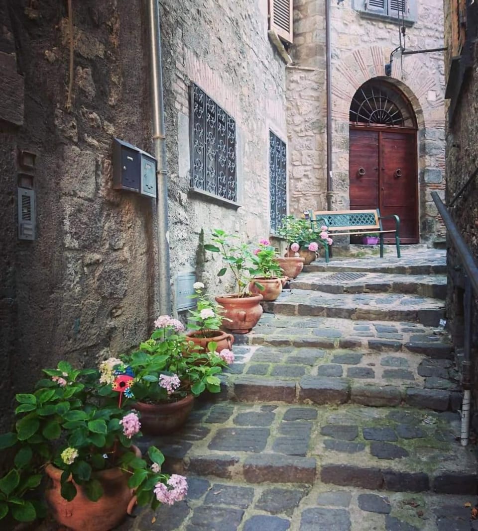 Dimora de' Canulei Apartment in Bolsena