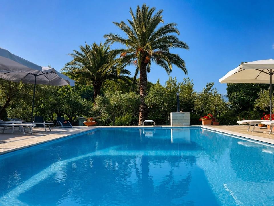 Natural landscape, Pool view, Swimming pool, sunbed