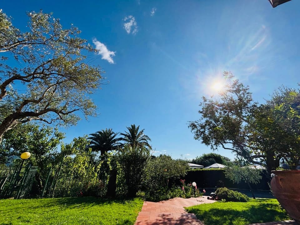Natural landscape, Garden, Garden view