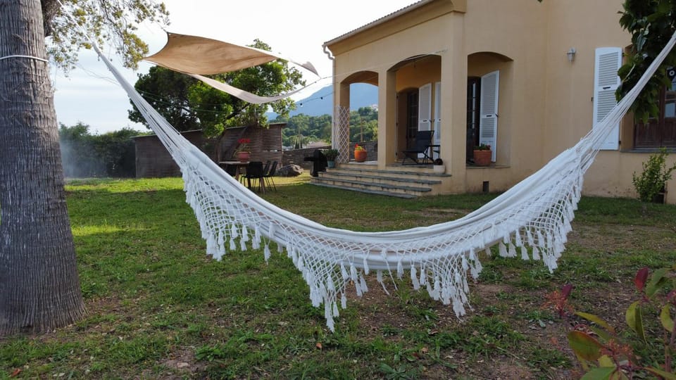 Property building, Patio, Garden, Garden view