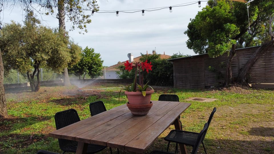 Day, BBQ facilities, Garden, Dining area