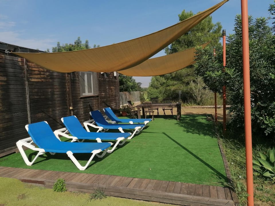 Garden, sunbed