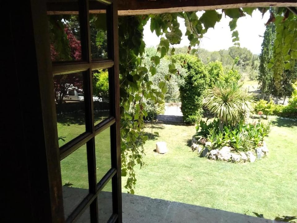 Day, Garden view