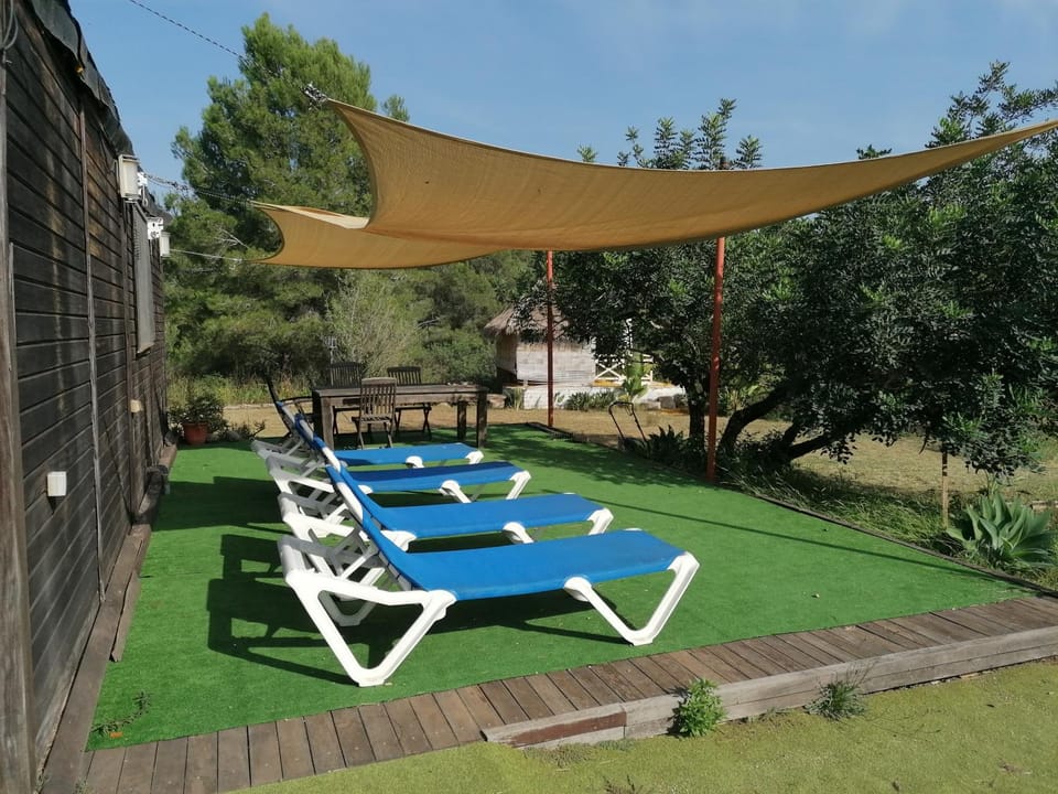 Day, Garden, Balcony/Terrace, sunbed