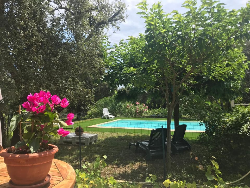 Natural landscape, Garden view, Pool view, sunbed