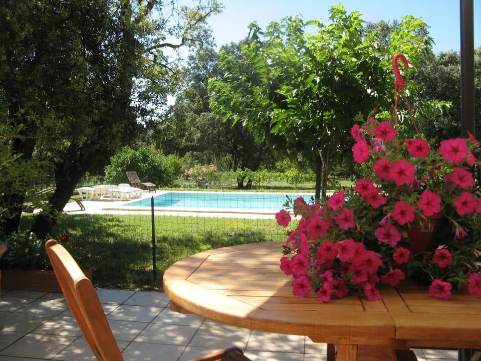 Garden view