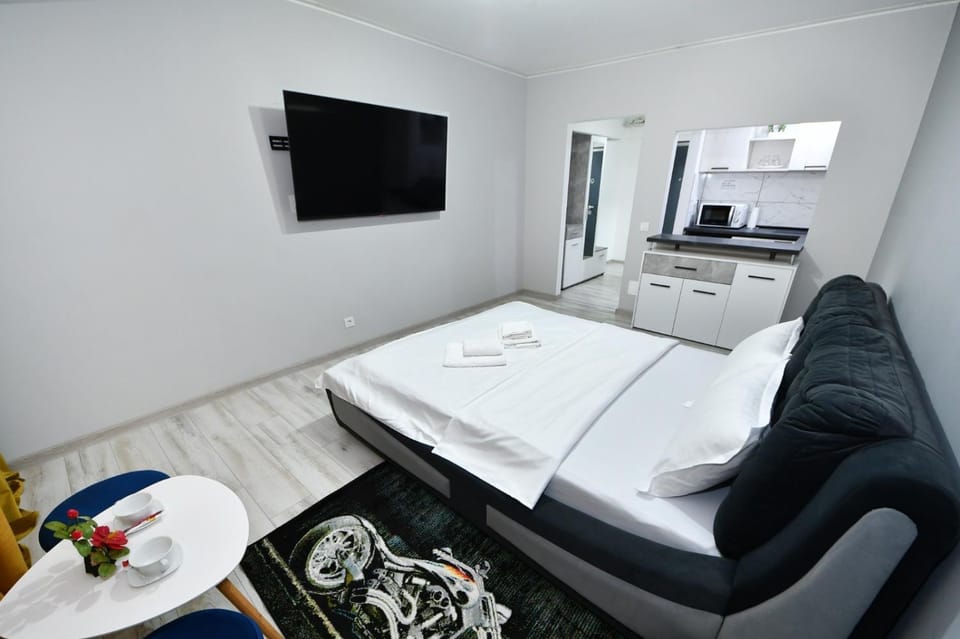 Sco Studio Apartment in Romania