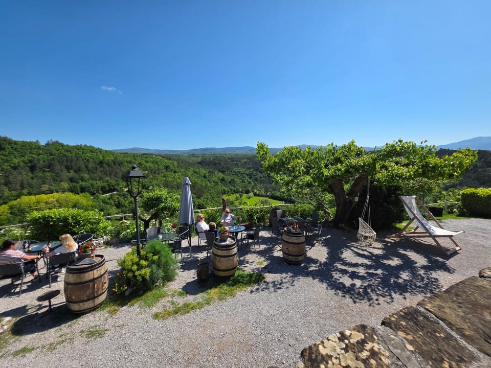 Nearby landmark, Spring, Day, Natural landscape, Garden, Garden view, Mountain view