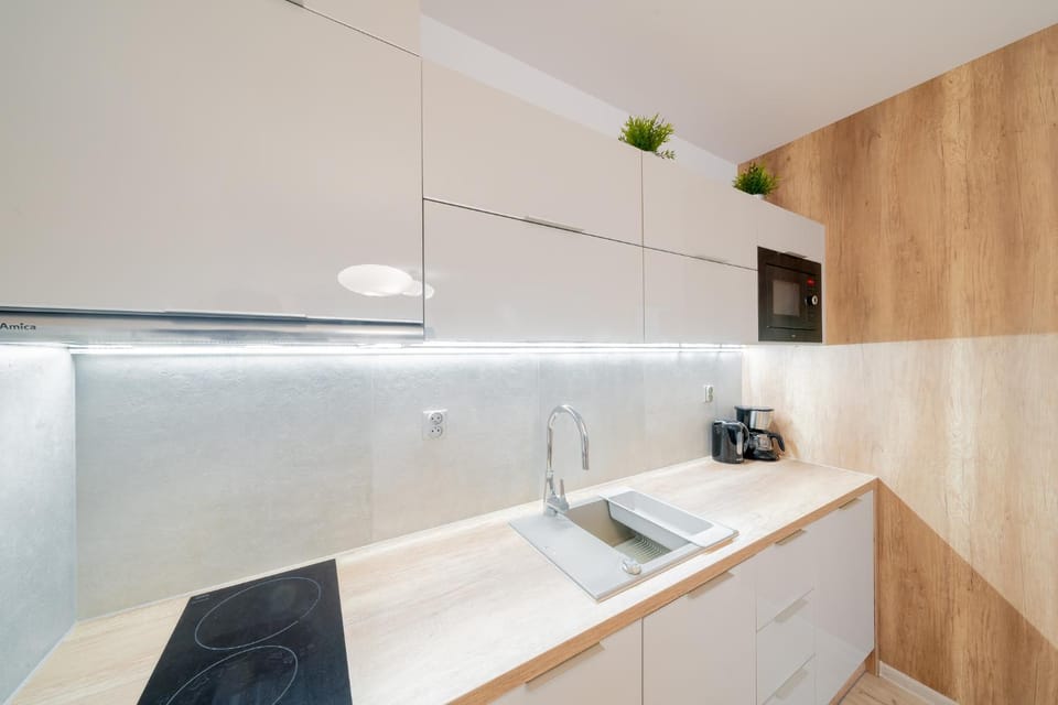 Kitchen or kitchenette, minibar, stove