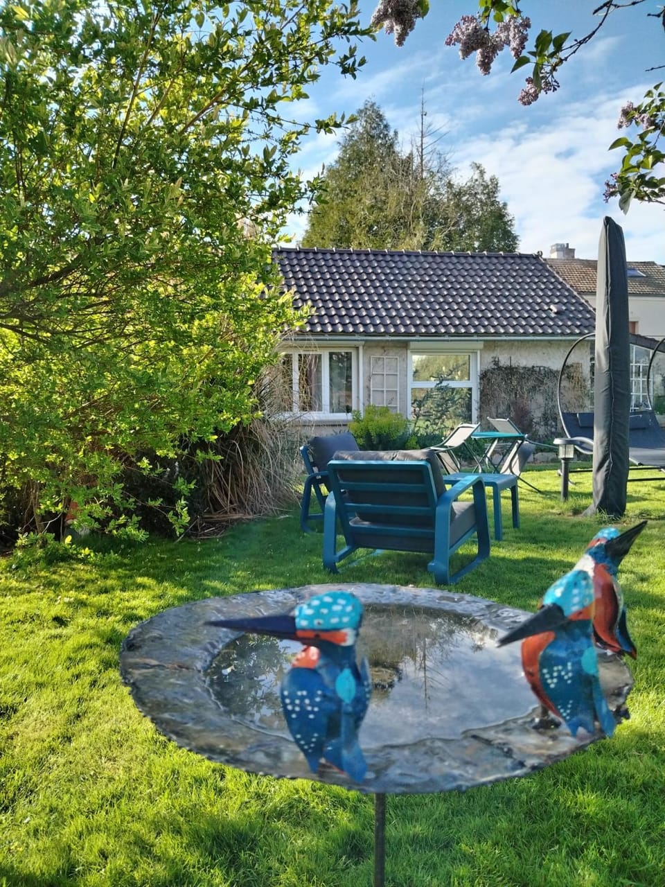 Garden view