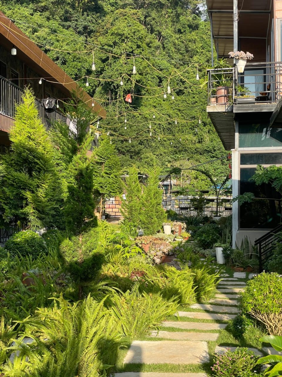 Natural landscape, Garden, Garden view