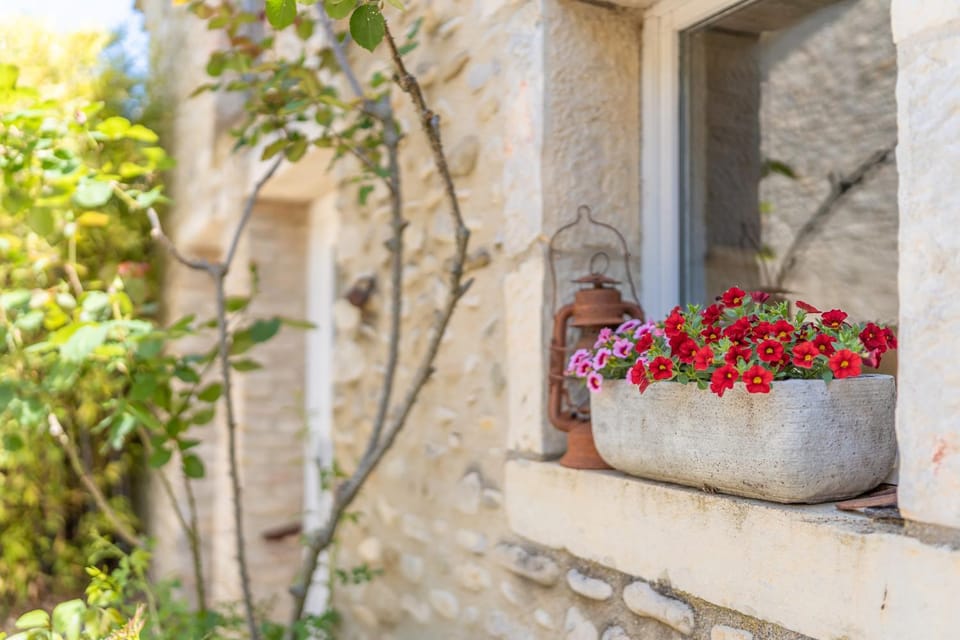Garden view
