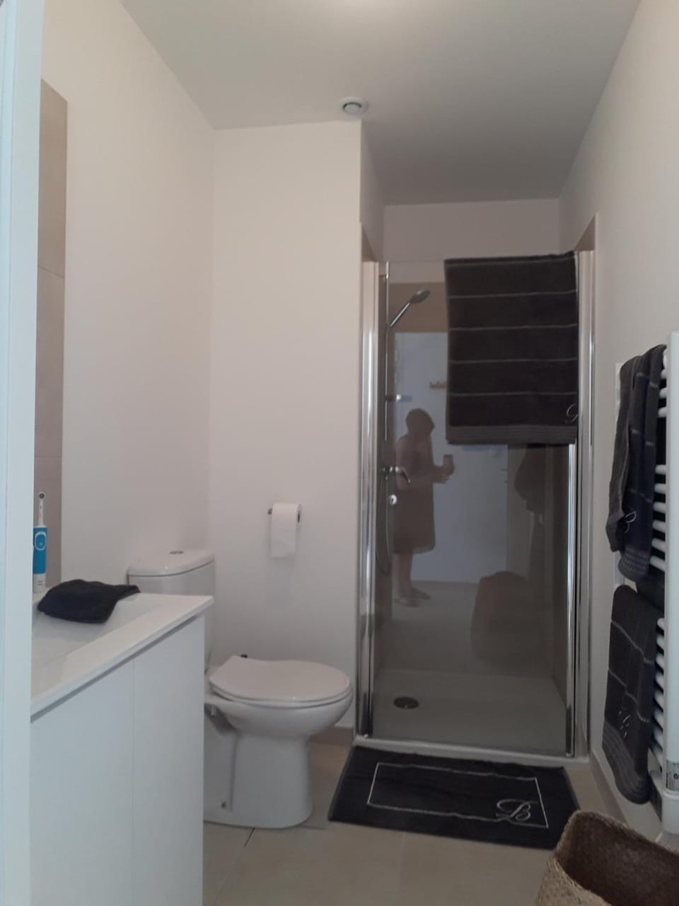 T2 VUE MER MARINA DI BRAVONE N197 Apartment in Linguizzetta