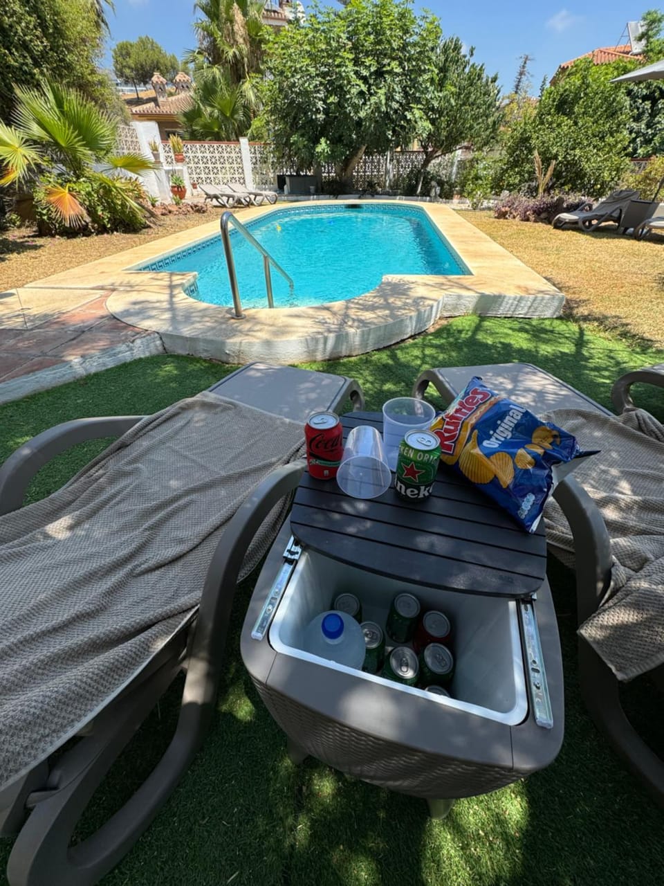 Garden, Pool view, Swimming pool