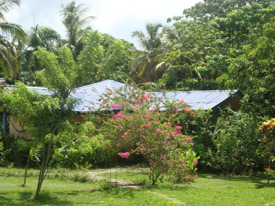 Fata Morgana Eco Hotel Hostel in Las Terrenas