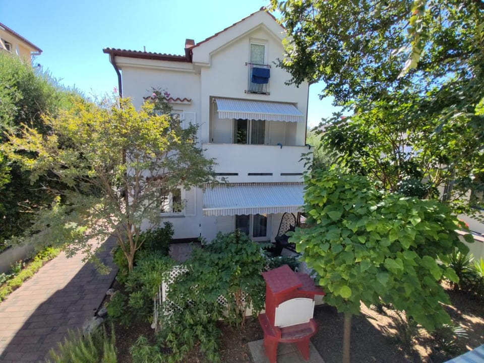 Property building, Day