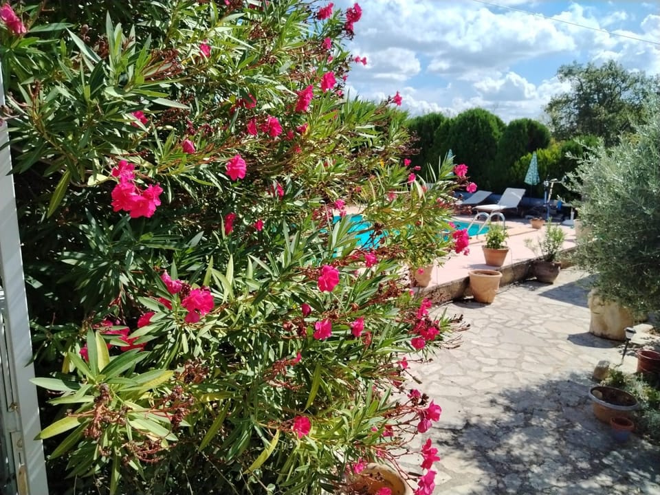 Lou Jasset Bed and Breakfast in Provence-Alpes-Côte d'Azur